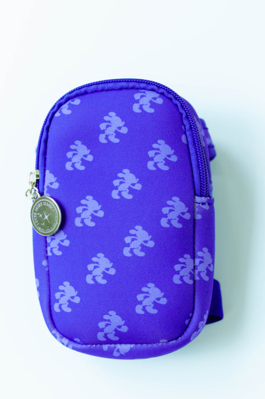 Bottle Bag - Chasing Mickey