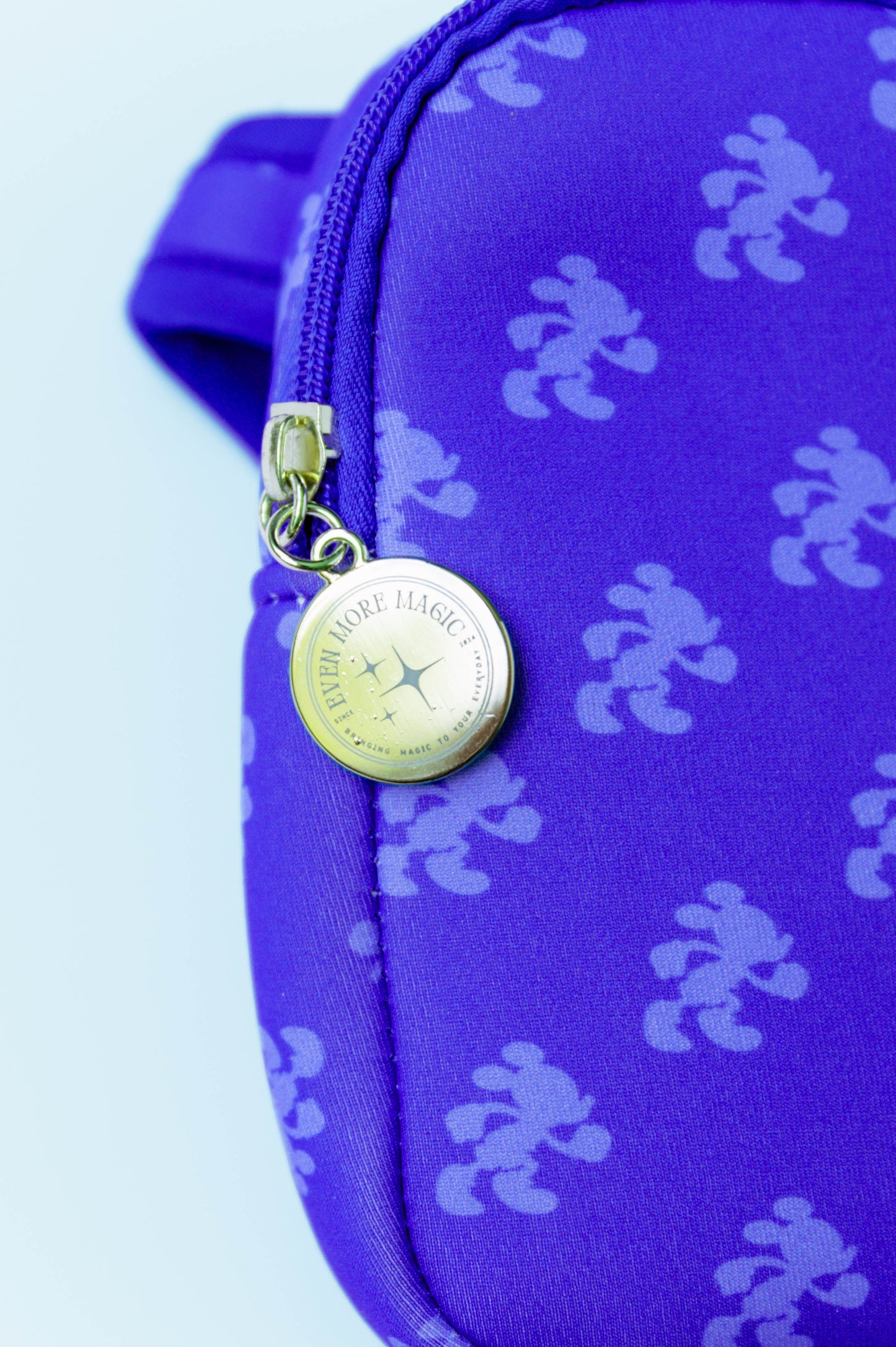 Bottle Bag - Chasing Mickey