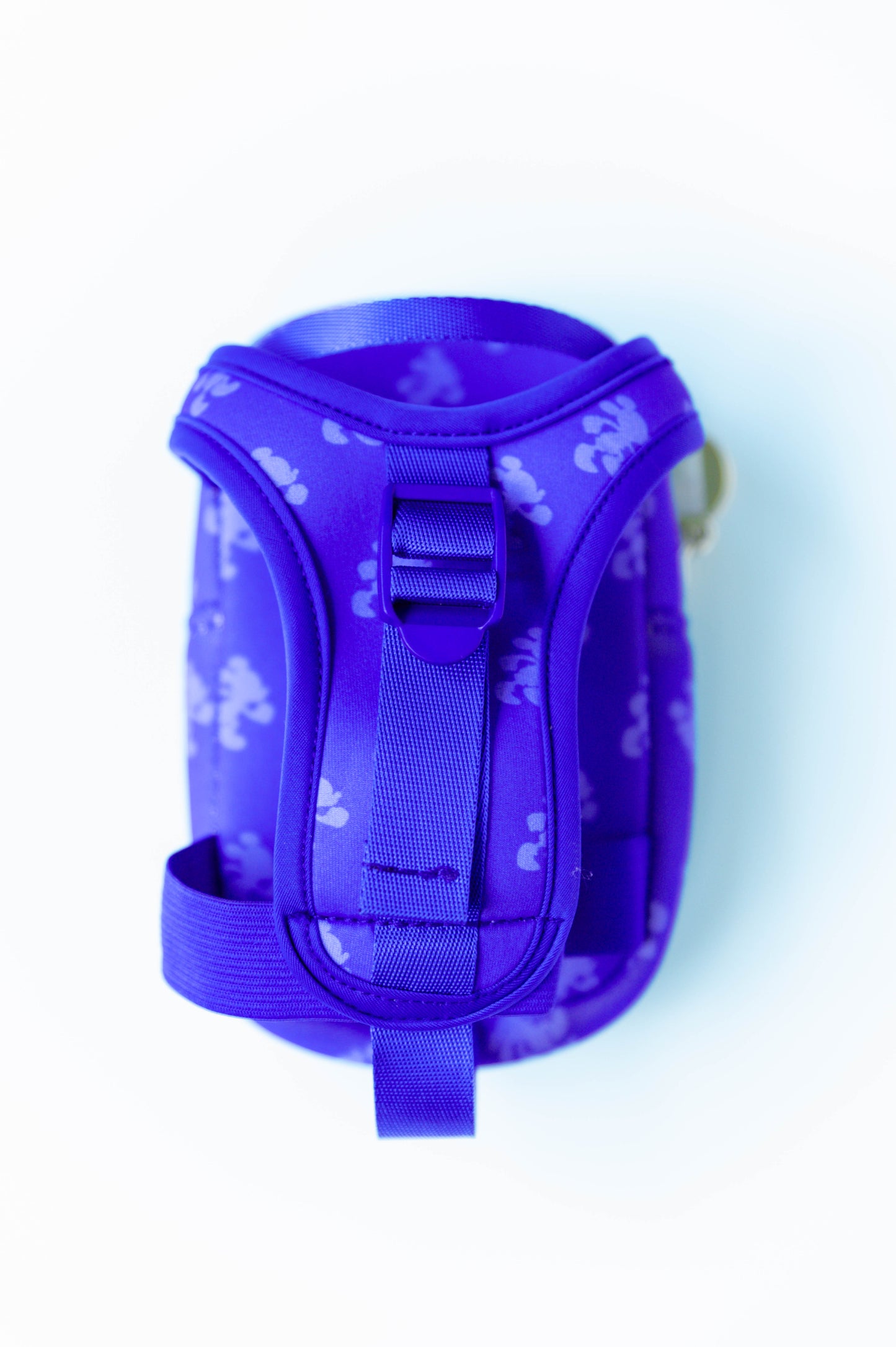 Bottle Bag - Chasing Mickey