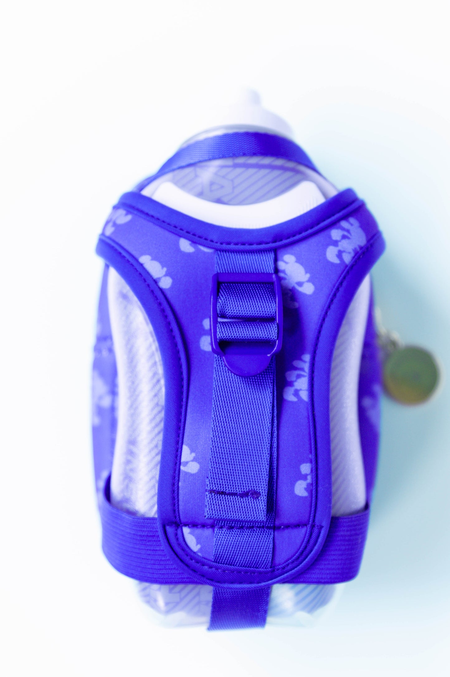 Bottle Bag - Chasing Mickey